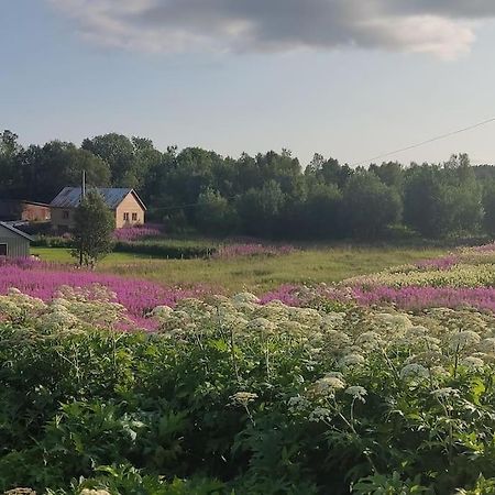 Mefjordvær Norwegian House Maria Stua 아파트 외부 사진