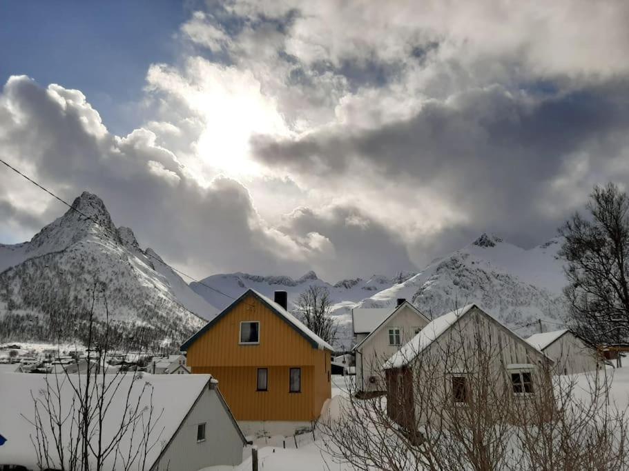 Mefjordvær Norwegian House Maria Stua 아파트 외부 사진
